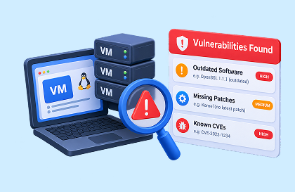 Identify vulnerabilities